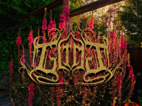 Album cover for Glimt
