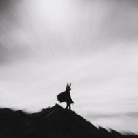 Album cover for The Weight Of Life