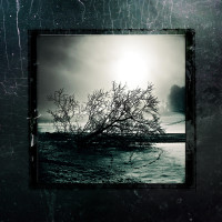 Album cover for B.T.T. / Like Desolate like True / Nihilism / Erkhrankung