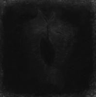 Album cover for Шум небытия