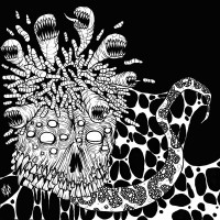 Maggots