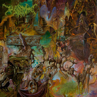 Album cover for Foreverglade
