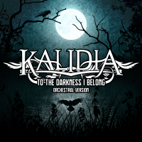 Album cover for To the Darkness I Belong (orchestral version)