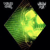 Album cover for A Veil of Ash