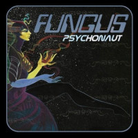 Album cover for Psychonaut