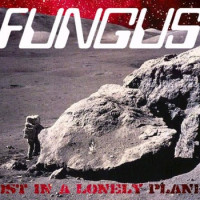 Album cover for Lost in a Lonely Planet