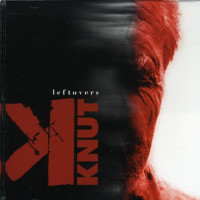 Album cover for Leftovers