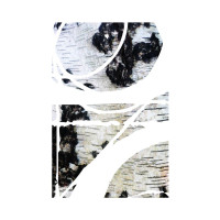 Album cover for En no Ozunu
