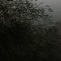 Album cover for Vessels Into White Tides