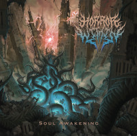 Album cover for Soul Awakening