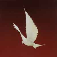 Album cover for Dove