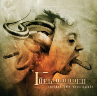Album cover for Inflict the Inevitable
