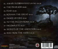 Album cover for Enigma Fire