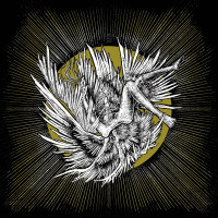 Album cover for The Wound