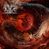Album cover for Entropy: Of Chaos and Salt