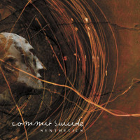 Album cover for Synthetics
