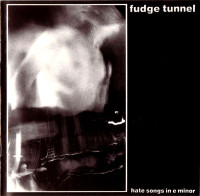 Album cover for Hate Songs in E Minor
