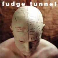 Album cover for The Complicated Futility of Ignorance