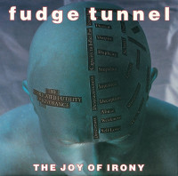 Album cover for The Joy of Irony