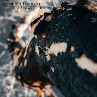 Album cover for Shadows of History