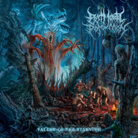 Album cover for Valley of the Starving