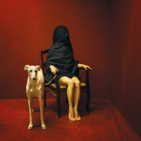Album cover for Ark of Contempt and Anger