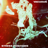 Album cover for Stress Positions