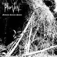 Album cover for Medieval Satanic Poison