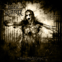 Album cover for In Cosmic Installation