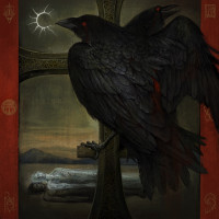 Album cover for Shadow Under a Ravens Wing