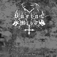 Album cover for Celestial Ash