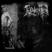 Album cover for Wastelands