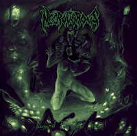 Album cover for Funeral for the Sane
