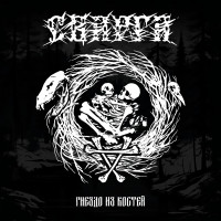 Album cover for Гнездо из костей