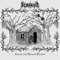 Album cover for Covenant of the Blackened Woodlands