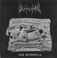 Album cover for Ahi Budhnya