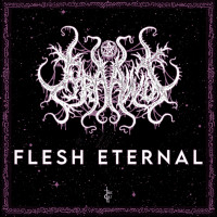 Album cover for Flesh Eternal