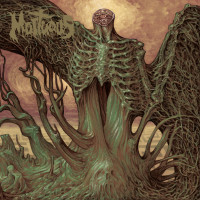 Album cover for Through Wilderness