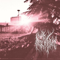 Album cover for Eternal Sunset