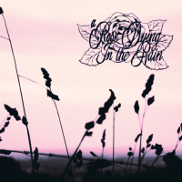 Album cover for Por siempre tú