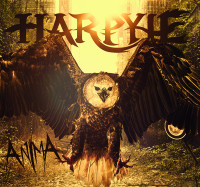 Album cover for Anima