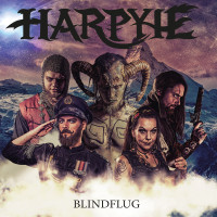 Album cover for Blindflug
