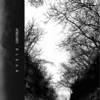Album cover for Bleak