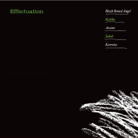 Effectuation
