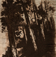 Album cover for O turniach, jeziorach i nocnych szlakach