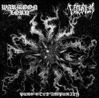 Album cover for Pure Cold Impurity