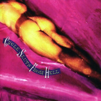 Album cover for Cycle Sluts From Hell
