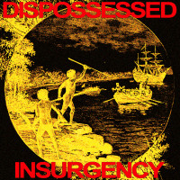 Album cover for Insurgency