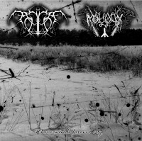 Album cover for Where Winds Forever Cry