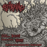 Album cover for Vortex of the Severed Dead / Pulled Apart
